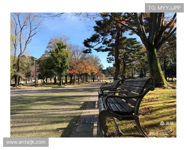 京都与金泽的精彩对决比分揭晓你知道是多少吗